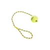 AniOne Balle de tennis avec corde