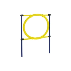 AniOne Obstacle agility