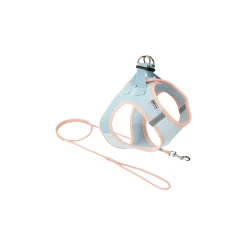 AniOne Pepe & Kitty Set pour chiots bleu & abricot XXXXS