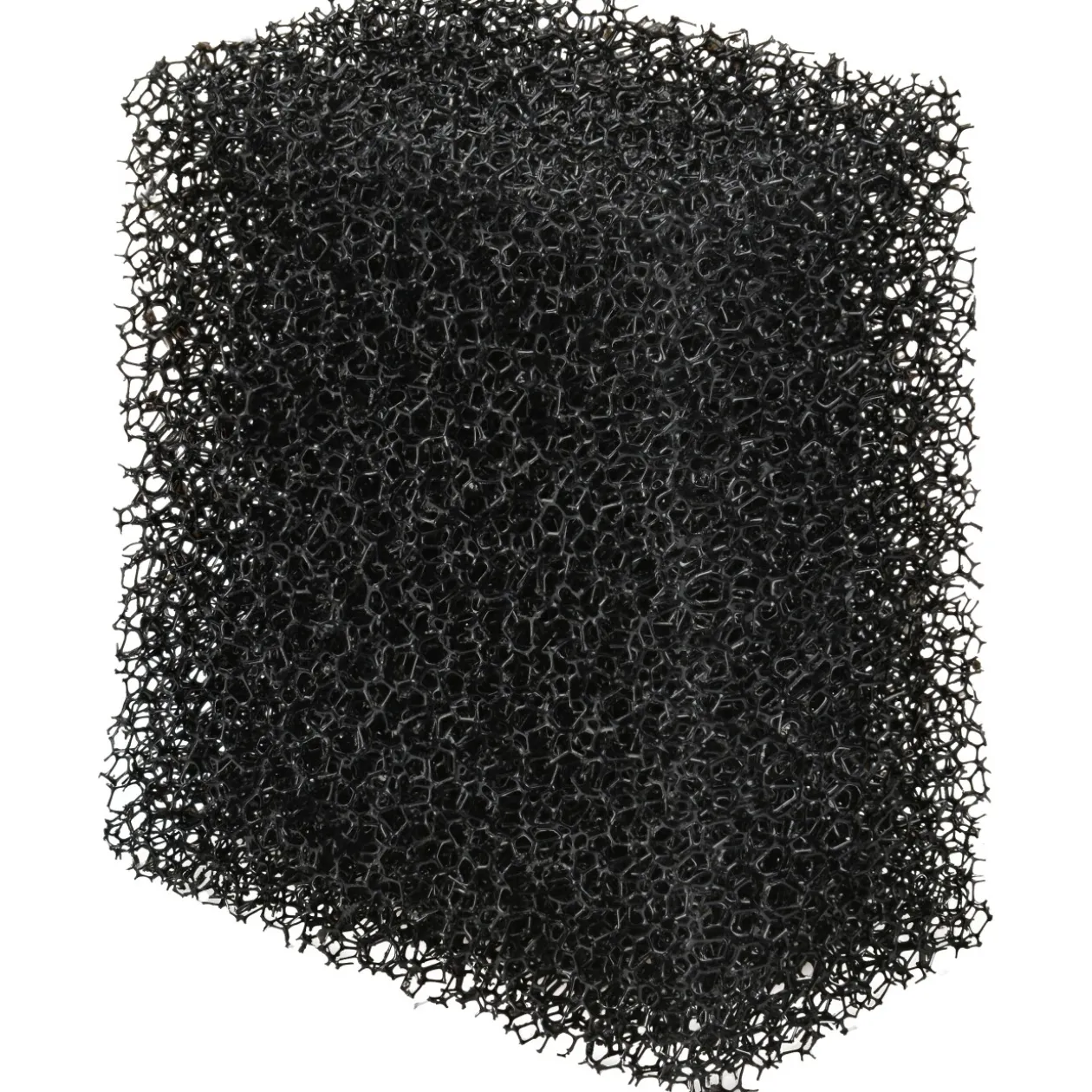 AniOne éponge filtrante pour filtre intérieur 40