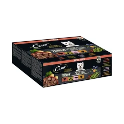 Cesar NATURAL GOODNESS Mega-Pack Terrine 4 variétés 24 x 100 g