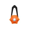 Dogs Creek Capteur Sirius 2.0
