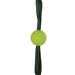 Hyper Pet Grab Tabs EVA Fetch Ball