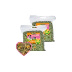 MultiFit Pissenlit. 2x500 g