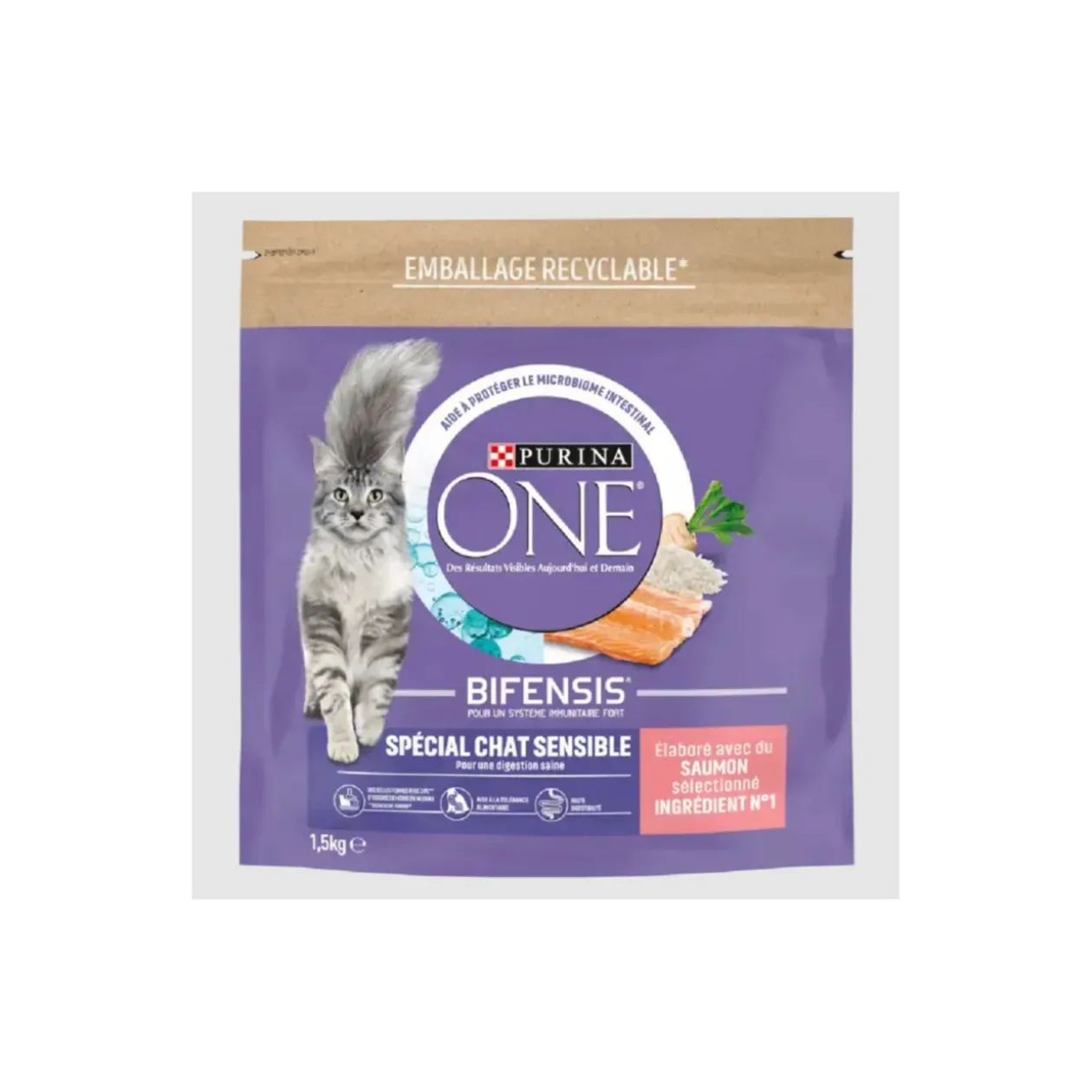 Purina ONE Croquettes pour Chat Sensible au Saumon et au Riz 1,5 kg