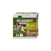 REAL NATURE WILDERNESS Kitten Multipack 4x100g
