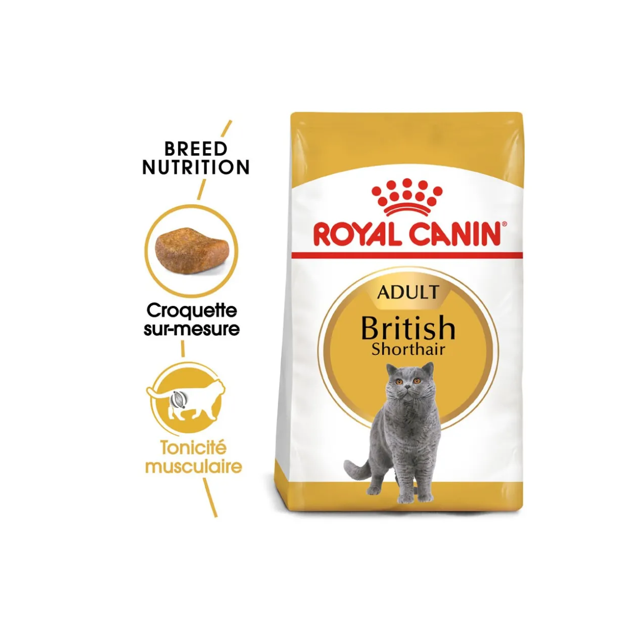 ROYAL CANIN British Shorthair Adulte Croquettes Chat 400 g