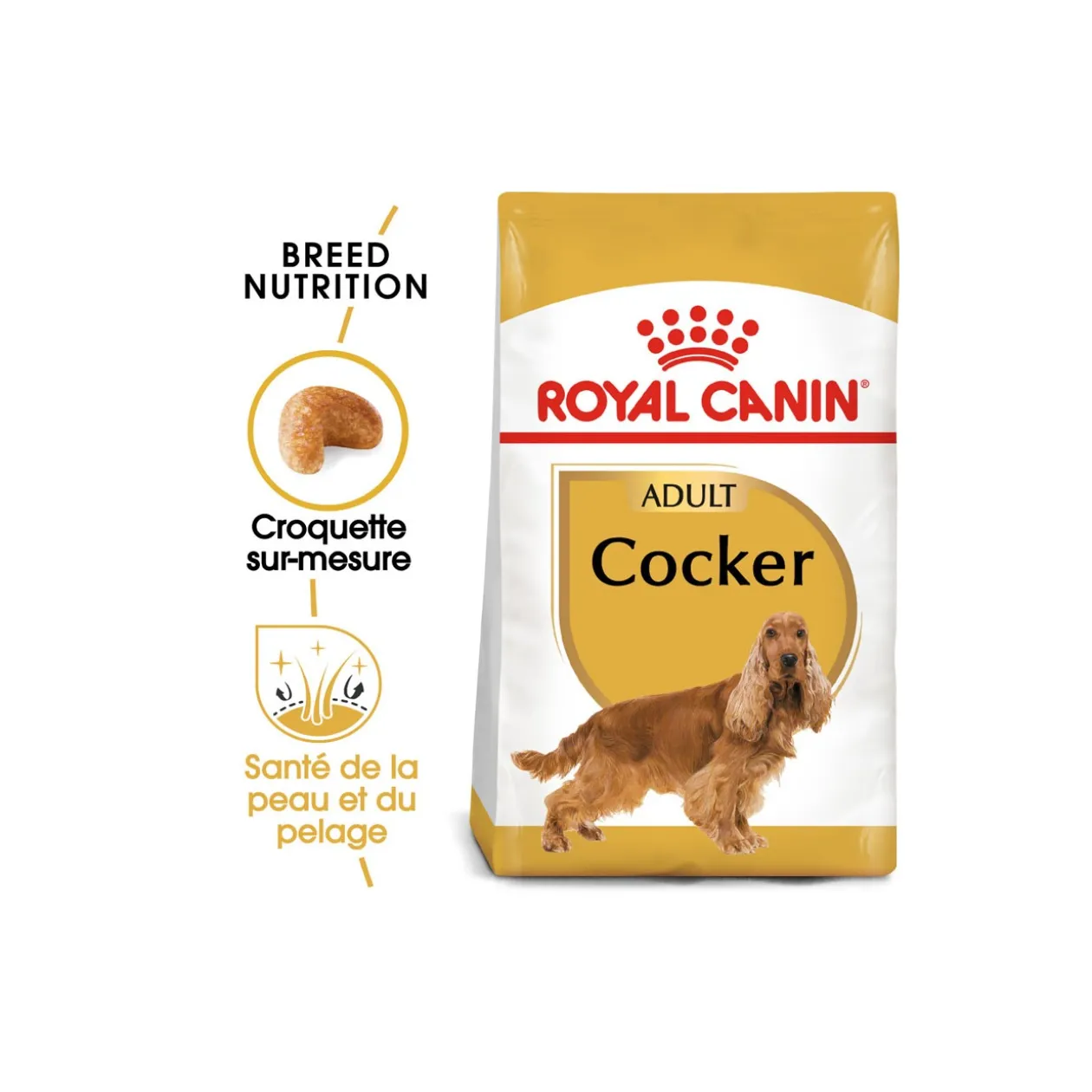 ROYAL CANIN Cocker Adulte Croquettes Chien 3 kg
