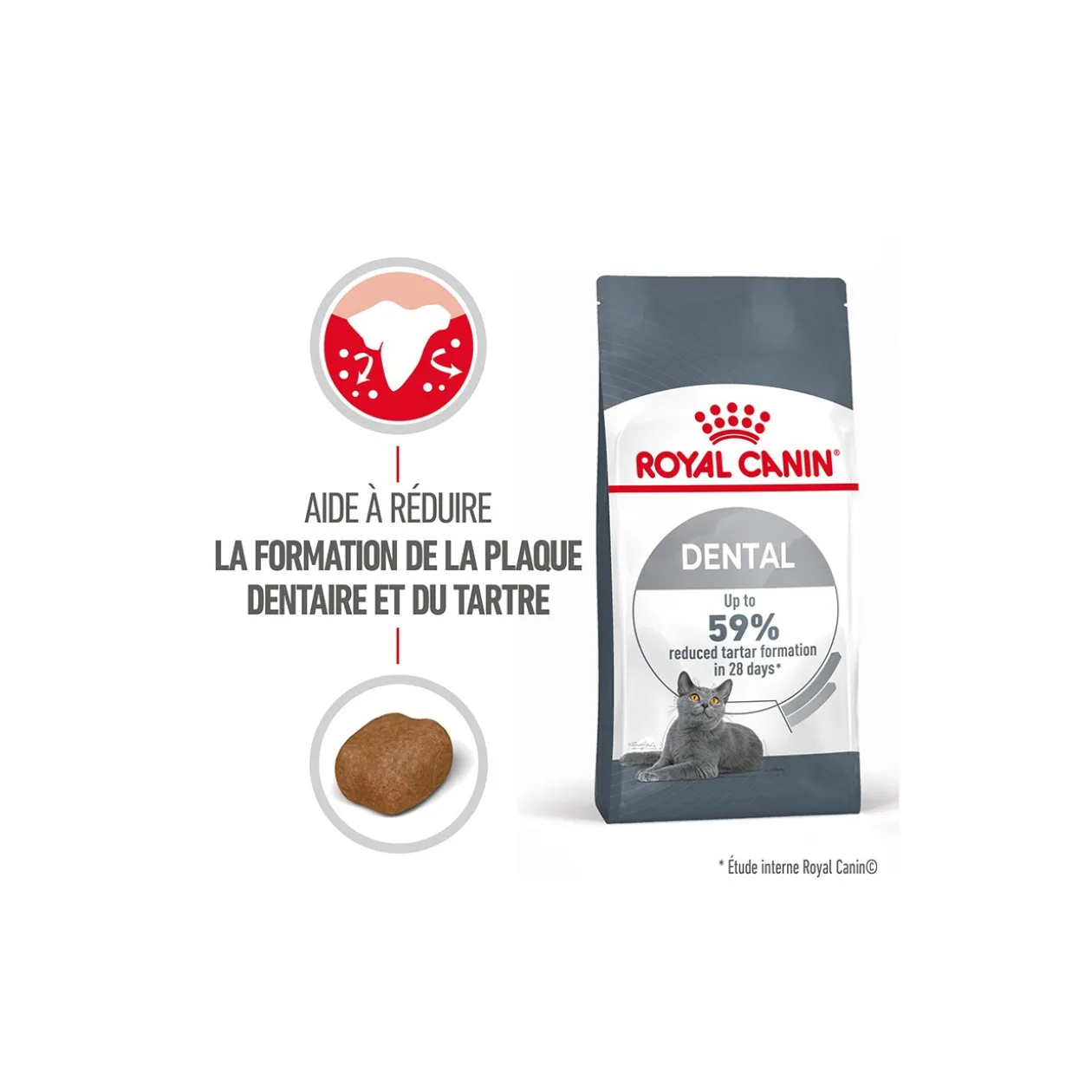 ROYAL CANIN Dental Care Croquettes Chat 400 g