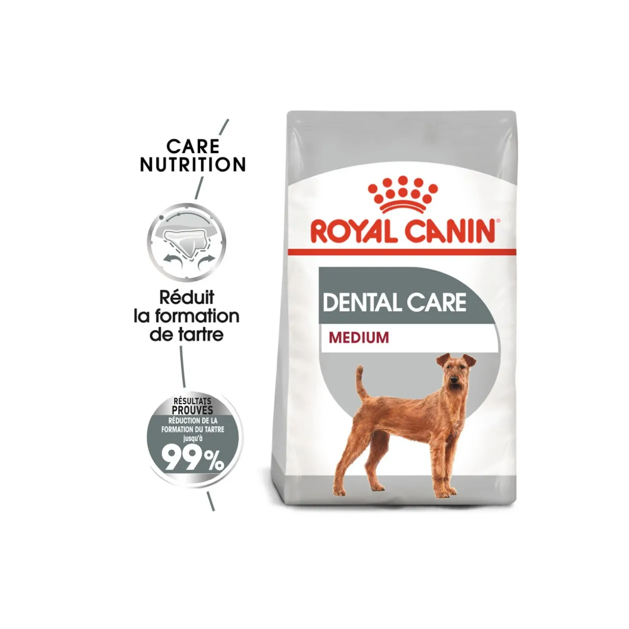 ROYAL CANIN Dental Care Medium Croquettes Chien 10 kg