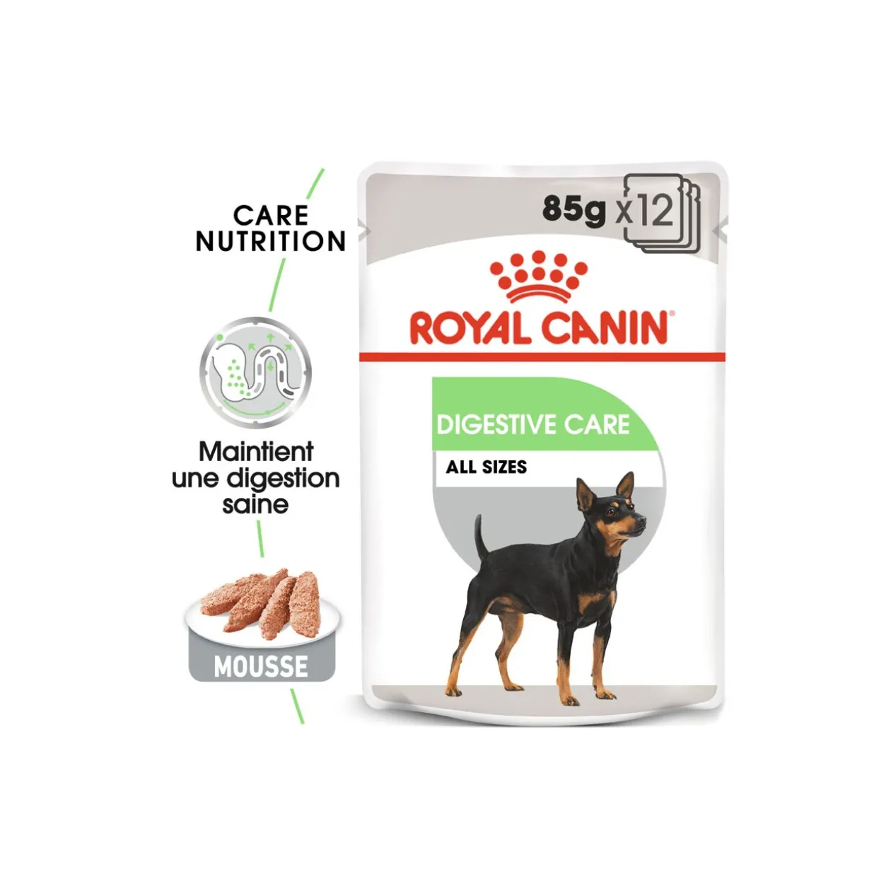 ROYAL CANIN Digestive Care Adult Mousse 12x85 g
