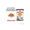ROYAL CANIN Hair & Skin en gelée 12x85 g