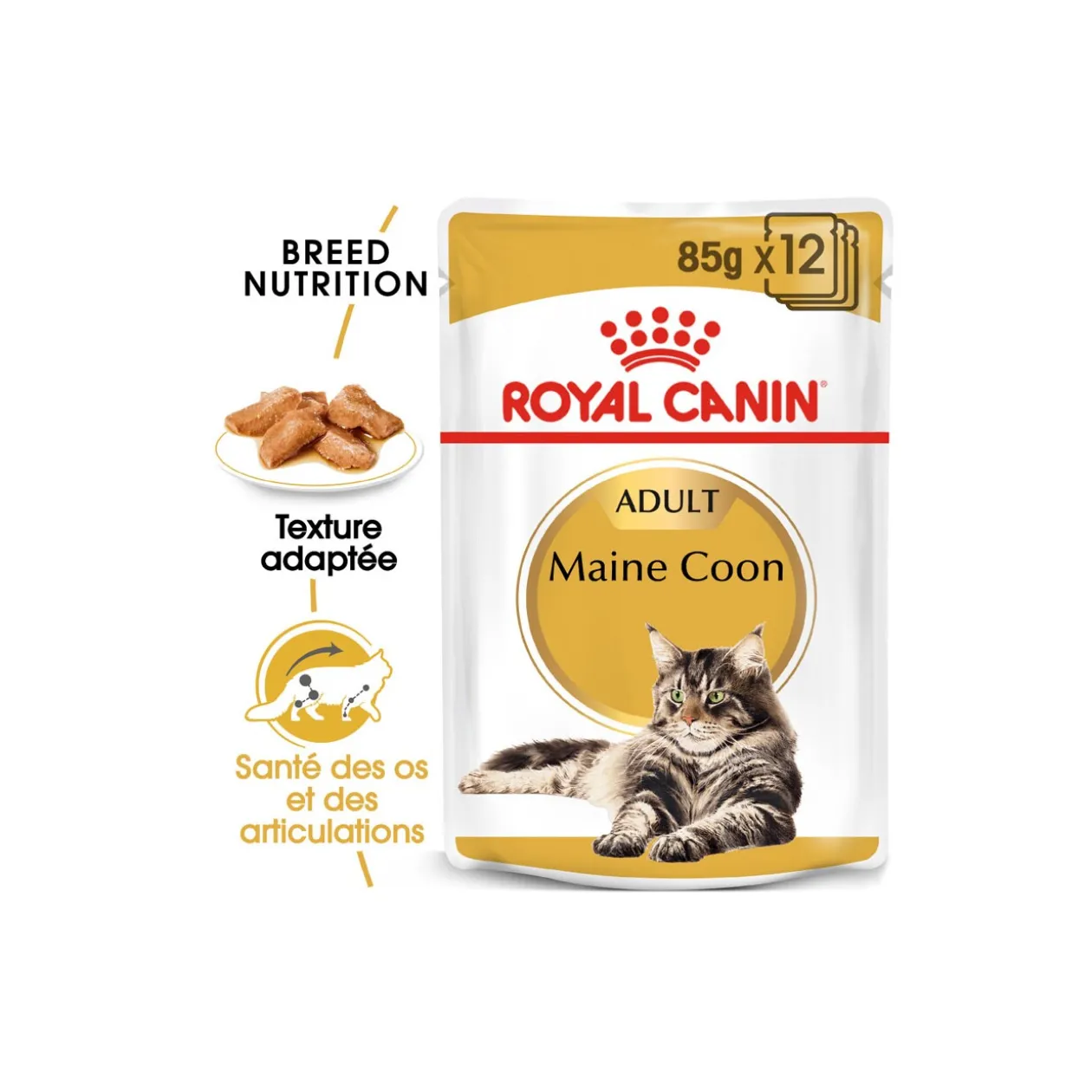 ROYAL CANIN Maine Coon Adult en sauce 12x85 g