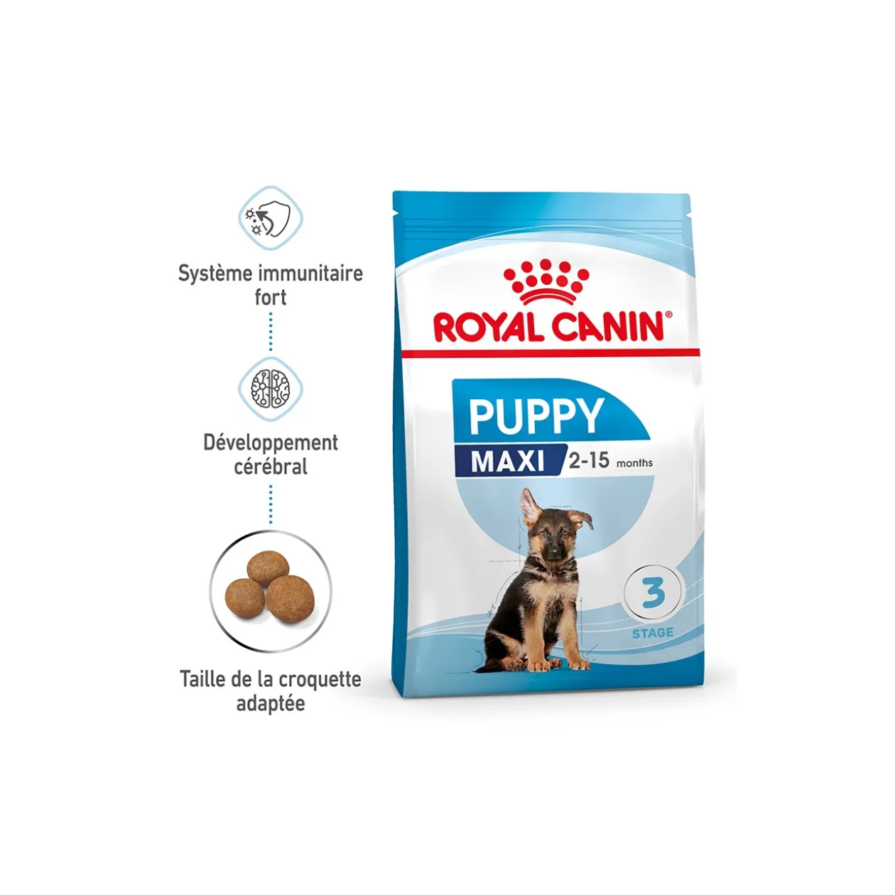 ROYAL CANIN Maxi Chiot Croquettes Chien 4 kg