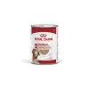 ROYAL CANIN Medium Ageing Mousse 12 x 410 g