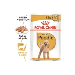 ROYAL CANIN Poodle Adult en sauce 12x85 g