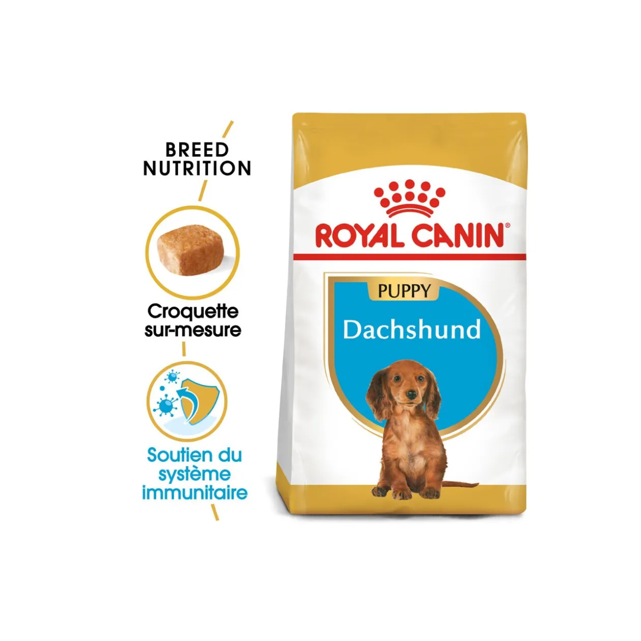 ROYAL CANIN Teckel Chiot Croquettes Chien 1,5 kg