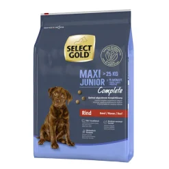 SELECT GOLD Complete Maxi Junior Bœuf 4 kg