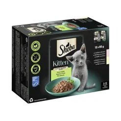 Sheba Multipack Kitten en sauce et fine variété au saumon, au poulet MSC 12 x 85 g