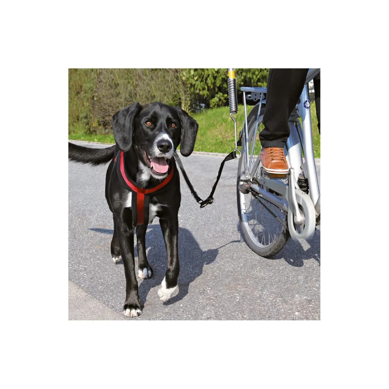 Trixie Set de motard pour chiens