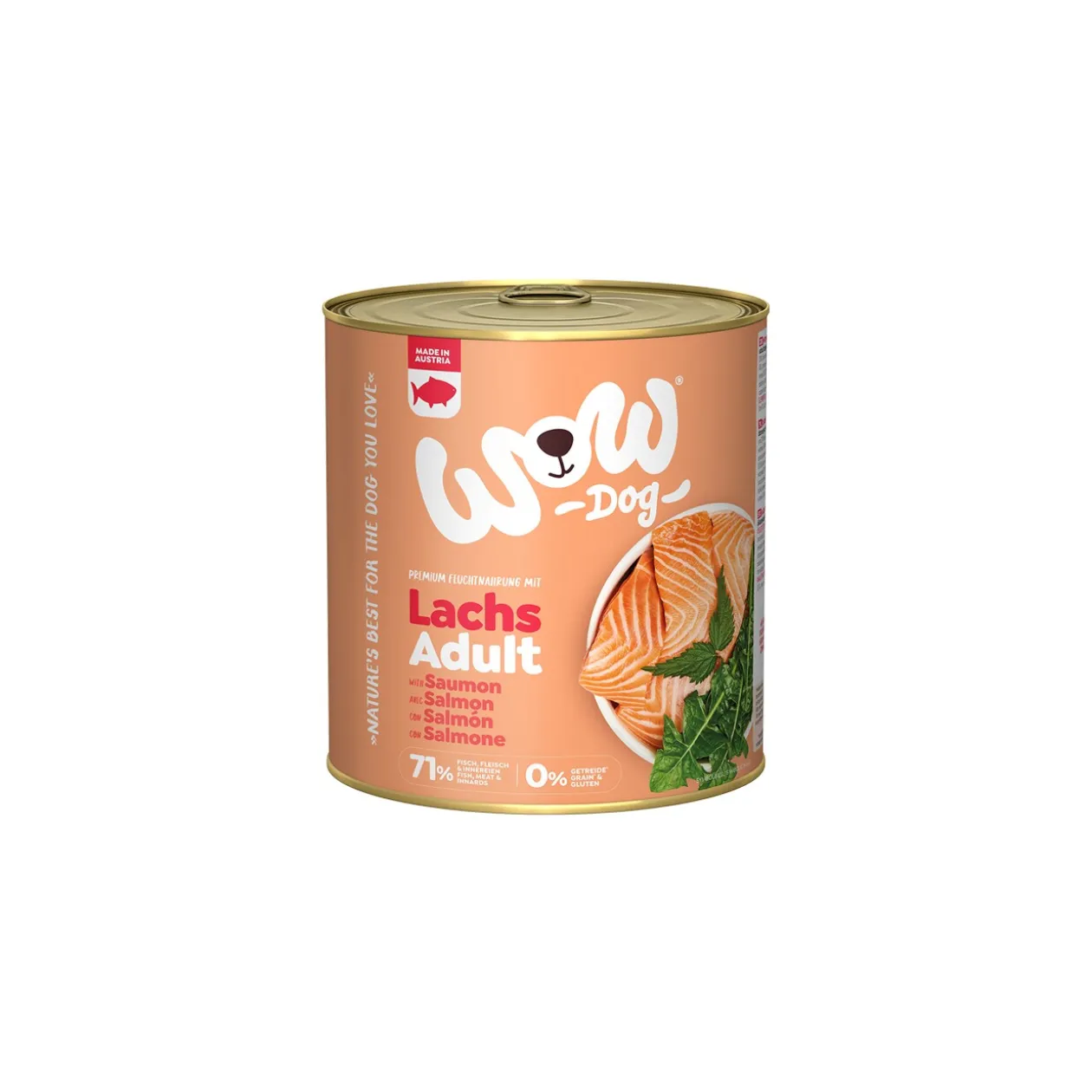 WOW nourriture humide pour chien, adulte 6x800 g Saumon et pissenlit